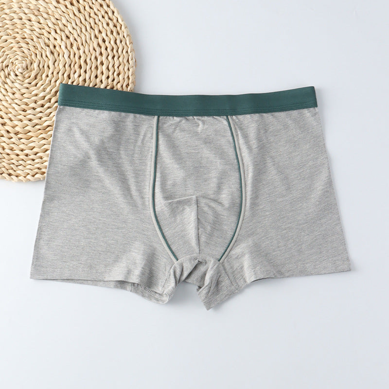 Men's Underwear Men's Boxer Briefs Plus Size Extra Large
