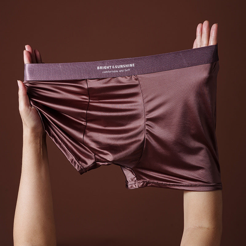 Mens Underwear 10A Antibacterial Crotch Boxer Briefs Breathable Smooth Seamless
